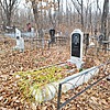 Царев Николай Васильевич