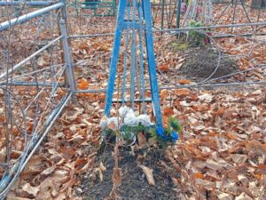 Неизвестно Неизвестно Неизвестно