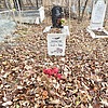 Веригин Александр Андреевич