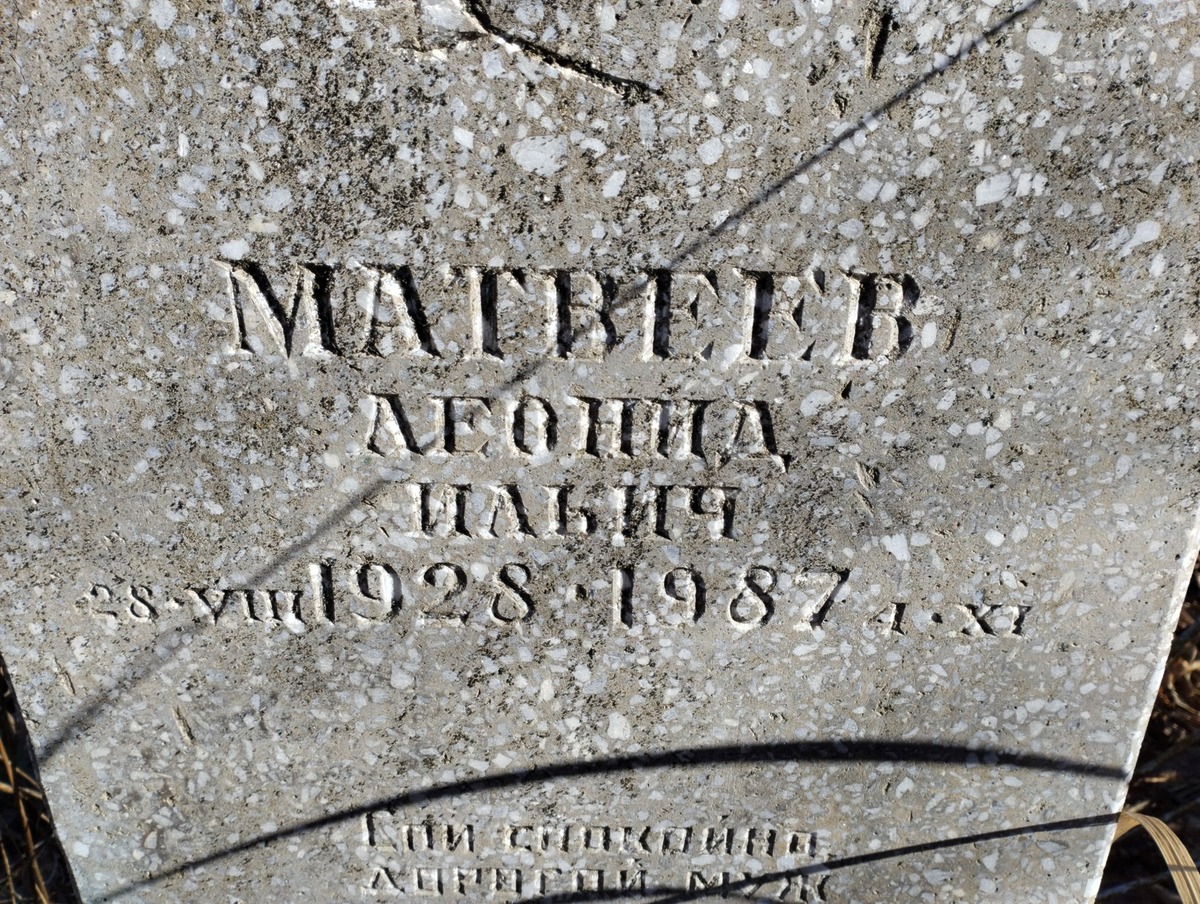 44ec097f-125d-4637-8aba-3ea6287a4efd Матвеев Леонид Ильич