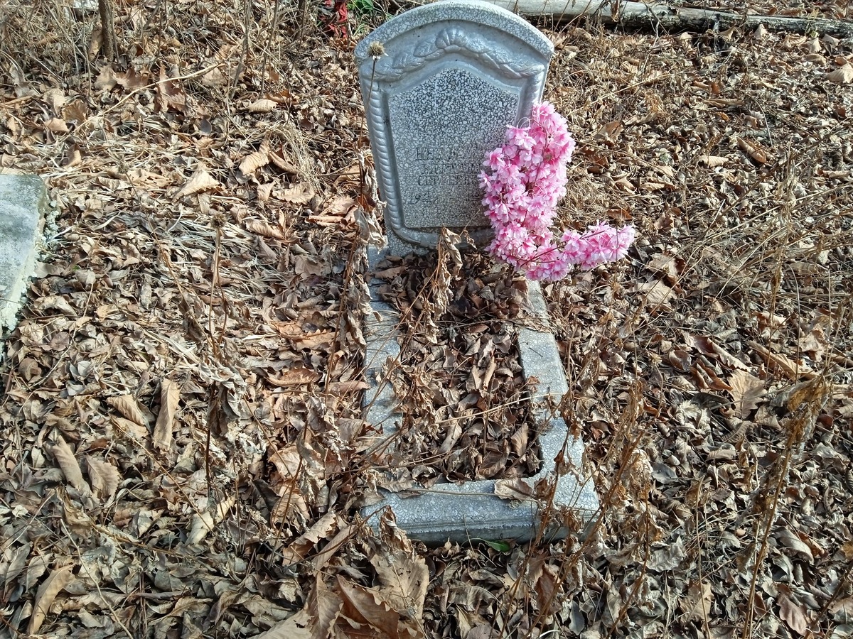 Недодел Виталий Сергеевич