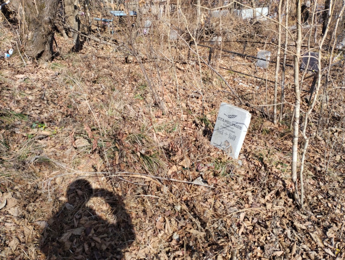 46a9f542-ca71-47bb-b4ff-f435b41def3c Стародумов Александр Александрович