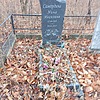 Самородина Нина Ивановна