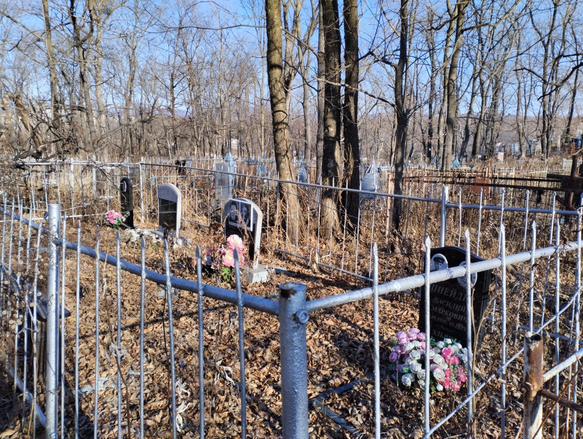 48c75fd7-6a50-4651-a2e7-7a1655db46b3 Маркович Эльвира Федоровна