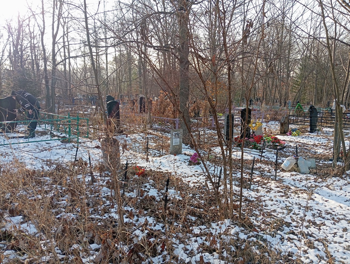 48d65b0d-f6b9-4a31-85f2-a0449bf3a0d6 Бескоровайная Раиса Иосифовна