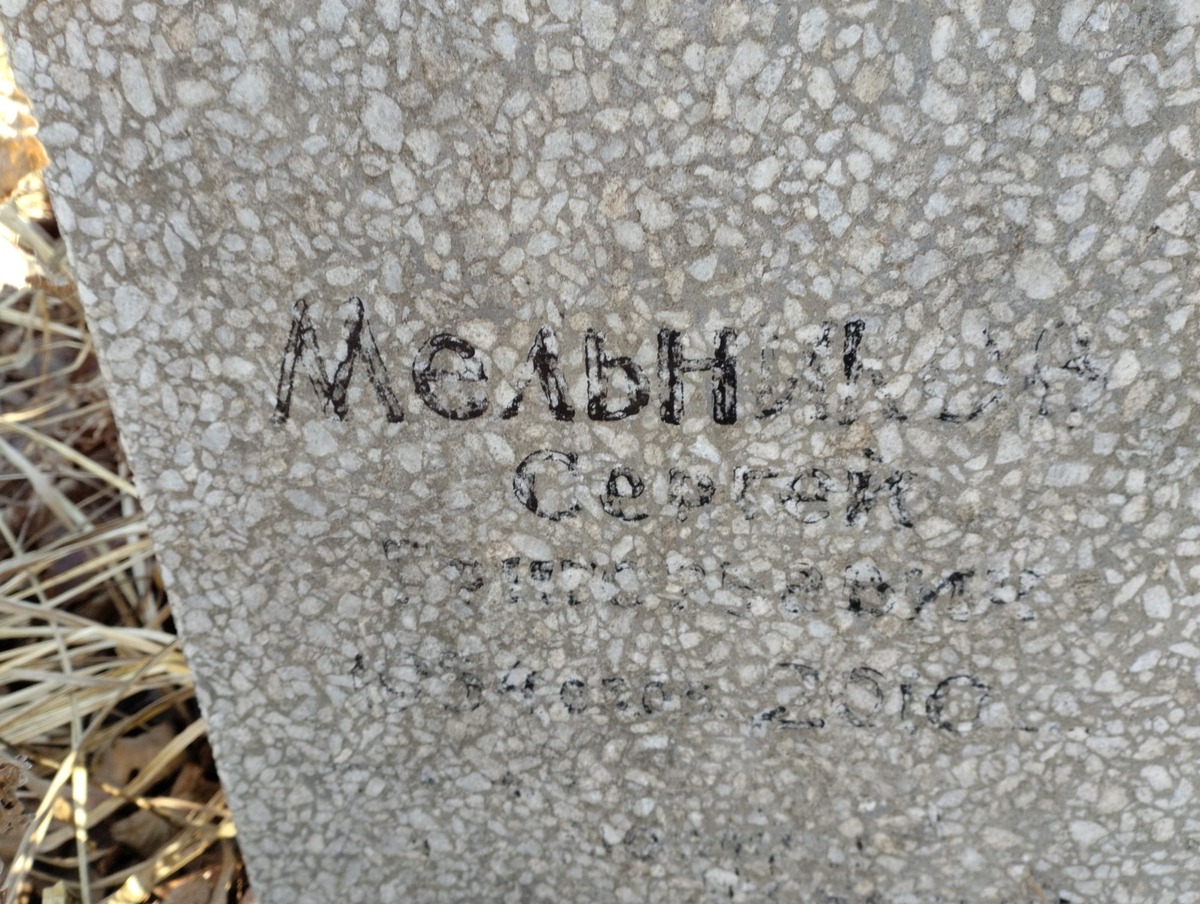 4a3ba678-d44c-41e5-8a88-df3a447e1dcc Мельников Сергей Григорьевич