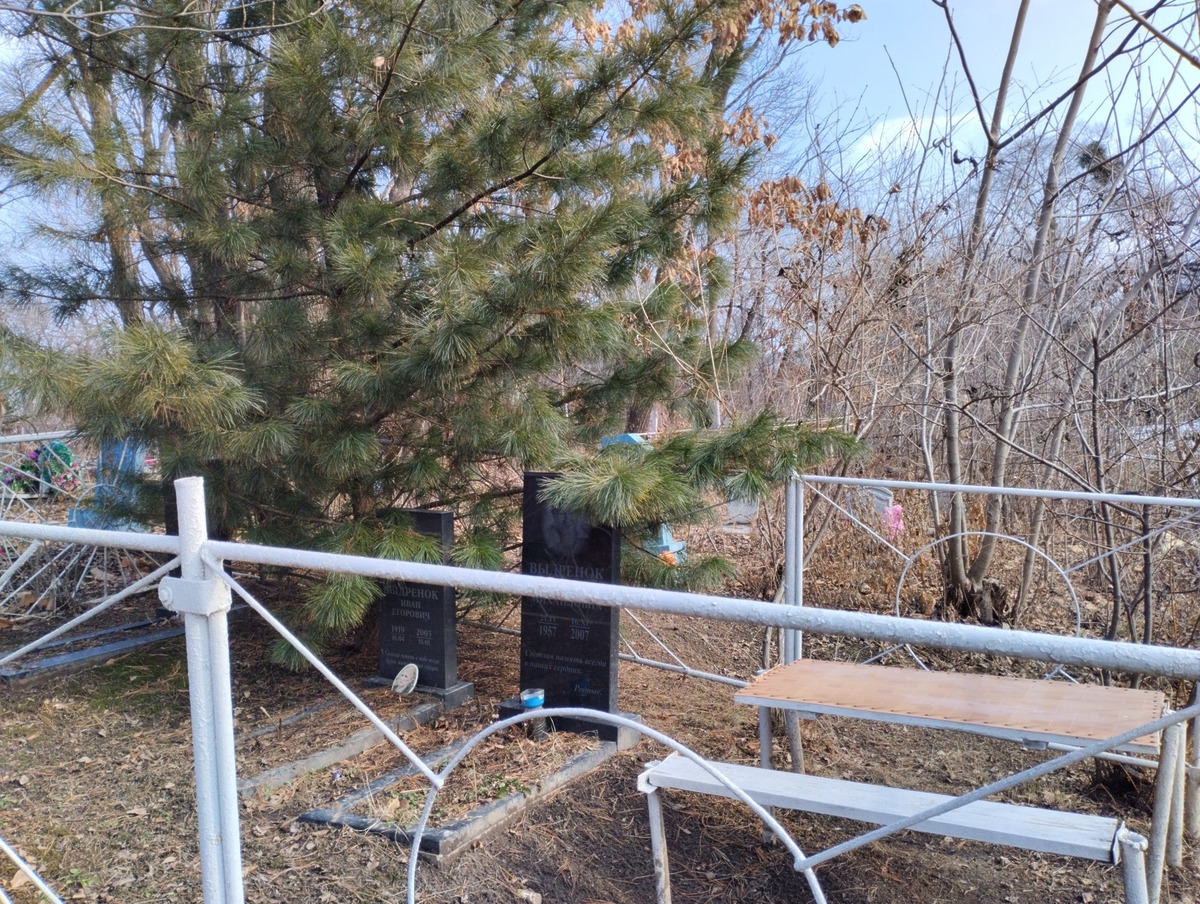 Бибик Анна Степановна