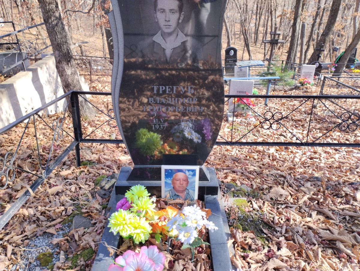 4c7ecaf8-a5dc-4c94-a198-0c62f8374578 Трегуб Владимир Григорьевич