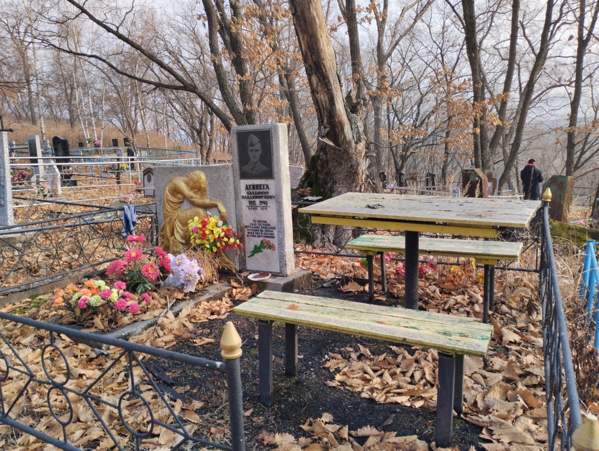 4c8333a0-143f-43de-a821-5b528846c30c Дейнега Владимир Владимирович