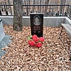 Рыскина Анастасия Дмитриевна