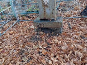 Неизвестно Неизвестно Неизвестно