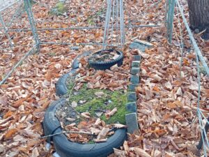 Неизвестно Неизвестно Неизвестно