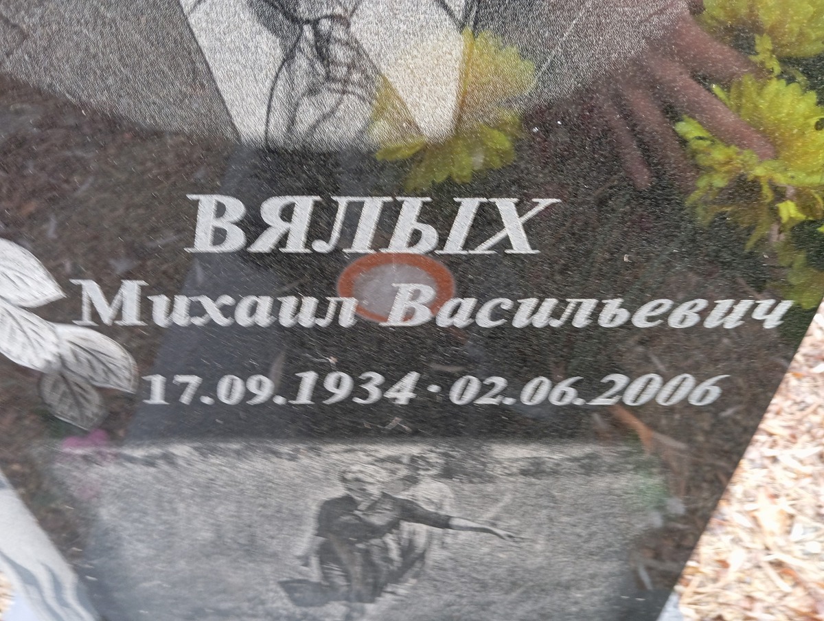 Вялых Михаил Васильевич