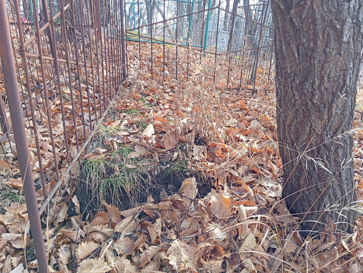 Неизвестно Неизвестно Неизвестно