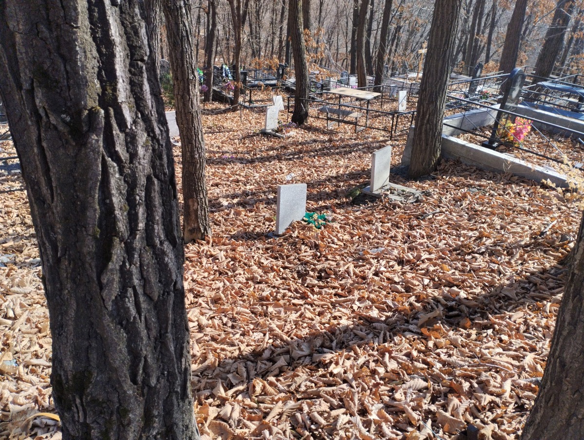 52879efd-6c50-462c-b8e7-b57518f8668d Неизвестно Неизвестно Неизвестно