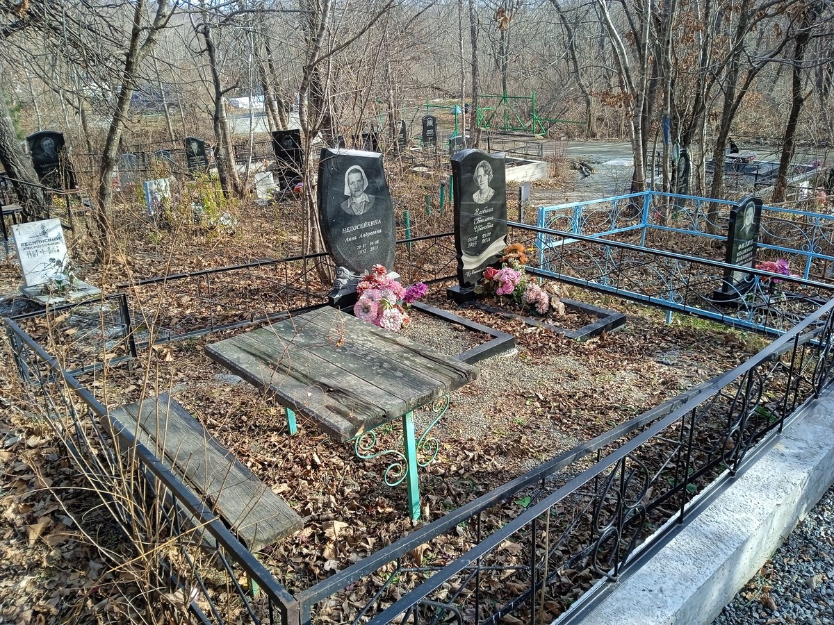 52957c05-b6a6-4b62-a174-5be35b0eac16 Недосейкина Анна Андреевна