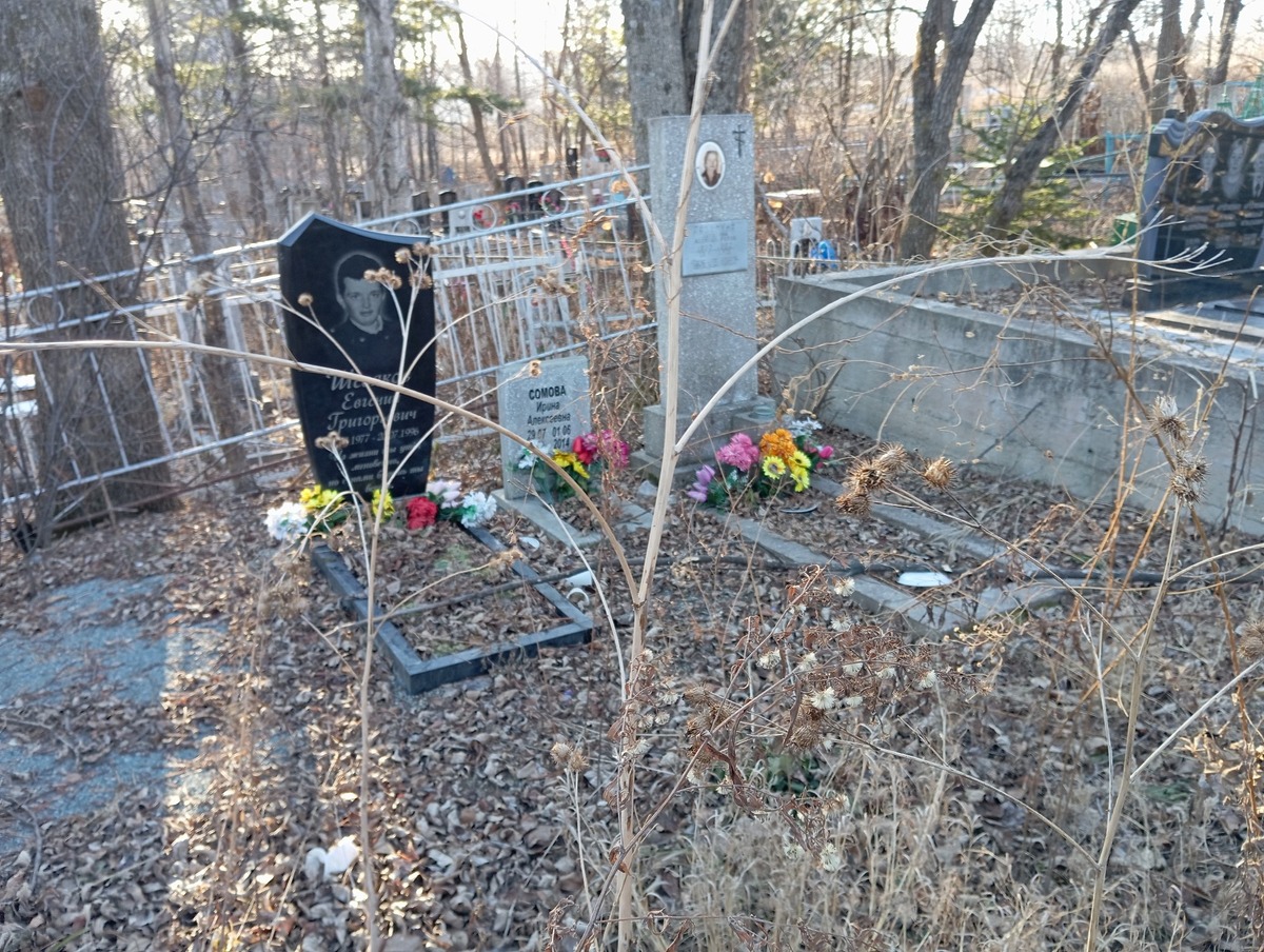 Сомова Ирина Алексеевна