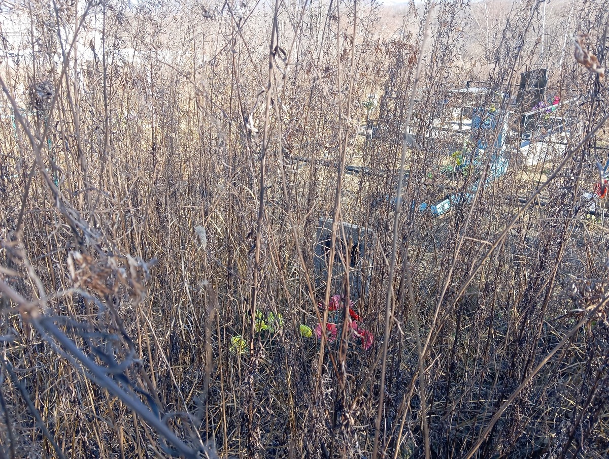 5398200a-f414-42b2-b87f-446471f74a92 Маковей Леонтий Иванович