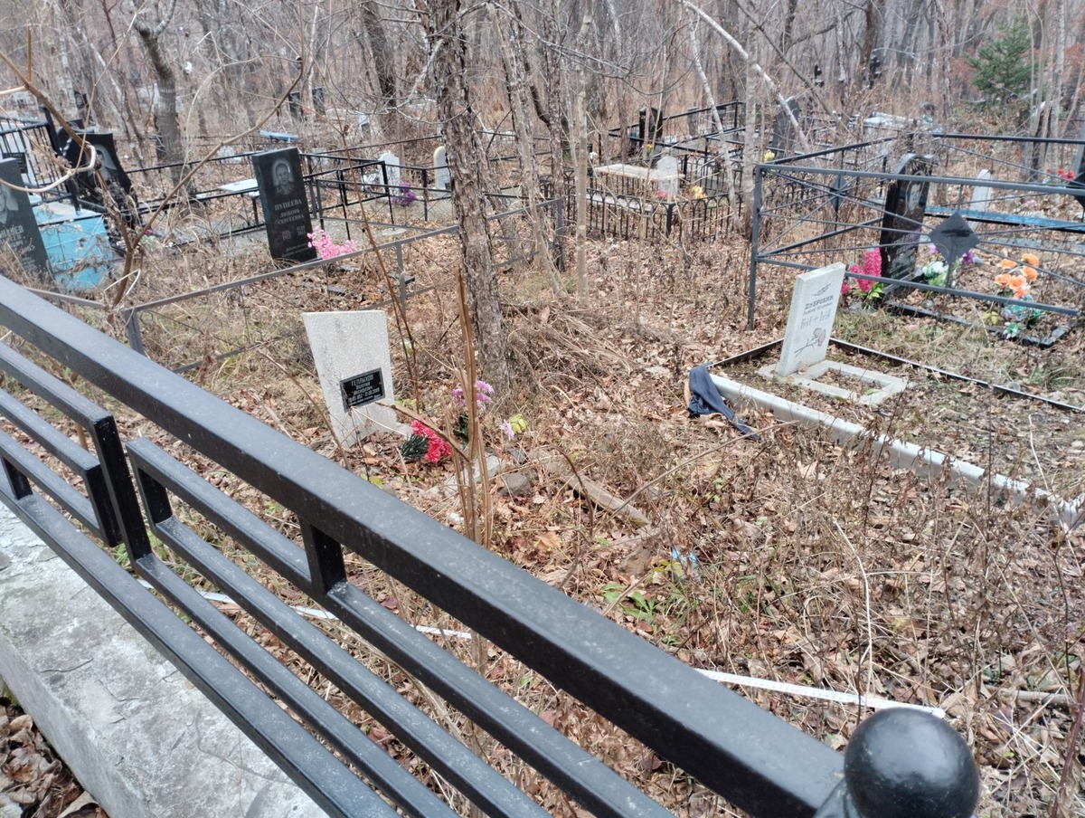 548e16a7-4666-47e4-b58a-62f219f3762b Теплыхов Валерий Васильевич