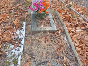 Аврамова Людмила Николаевна