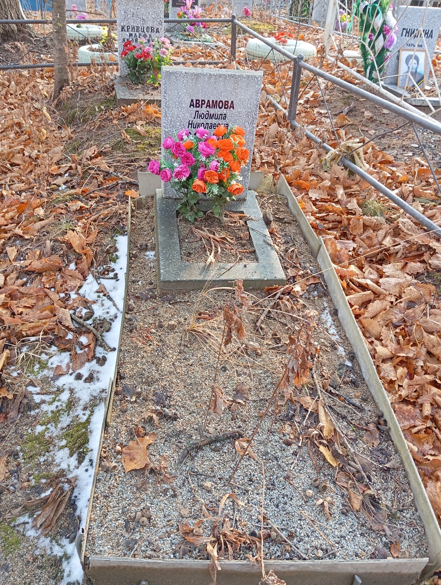 Аврамова Людмила Николаевна