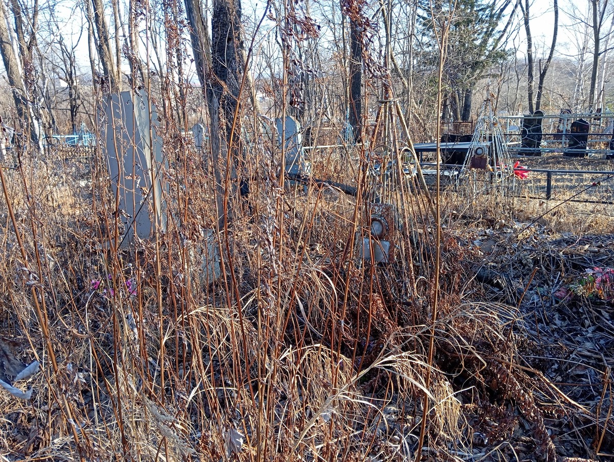 55bb68a3-4c84-4cbb-9863-dd2607a1ab49 Маскалу Иван Константинович