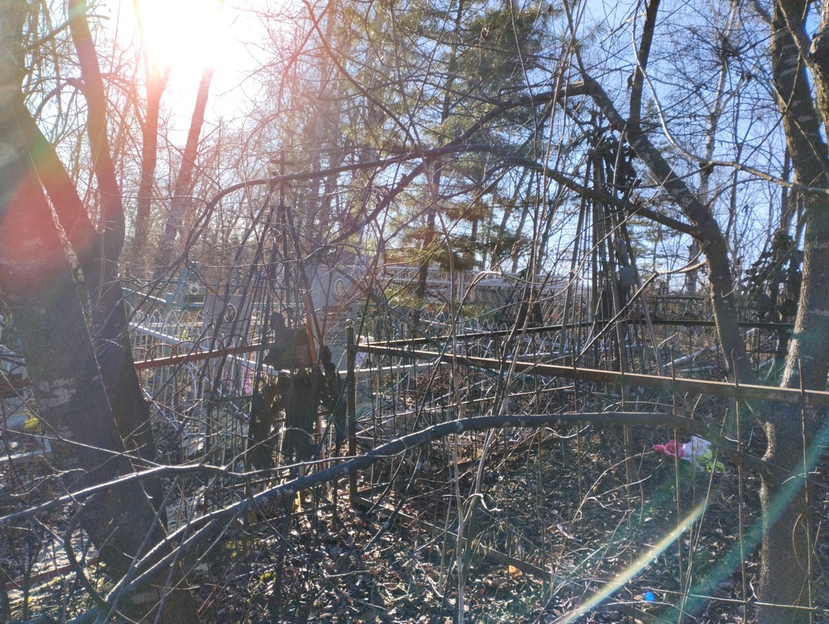 Кормес Анна Никитична