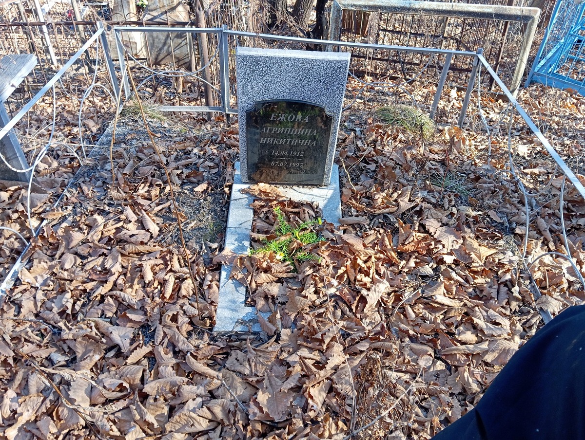 57dcd326-80c8-4b50-b86b-28adfaaeeab2 Ежова Агриппина Никитична
