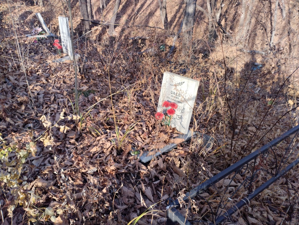 Заев Андрей Владимирович