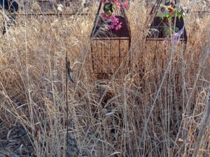 Неизвестно Неизвестно Неизвестно