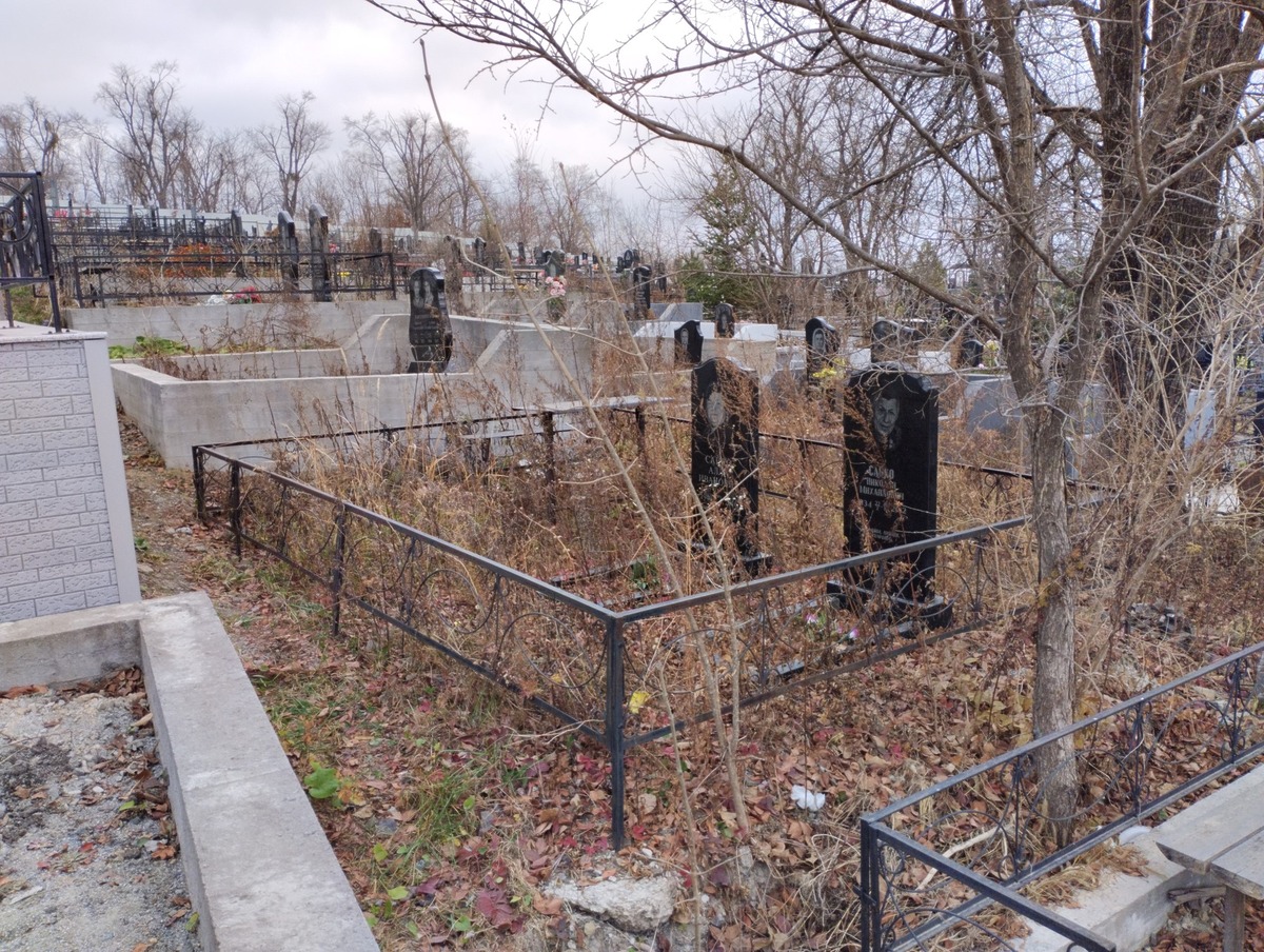 59165f11-8815-4b17-a213-f7f871699779 Сайко Алла Ивановна