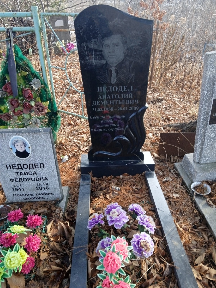 Недодел Анатолий Дементьевич