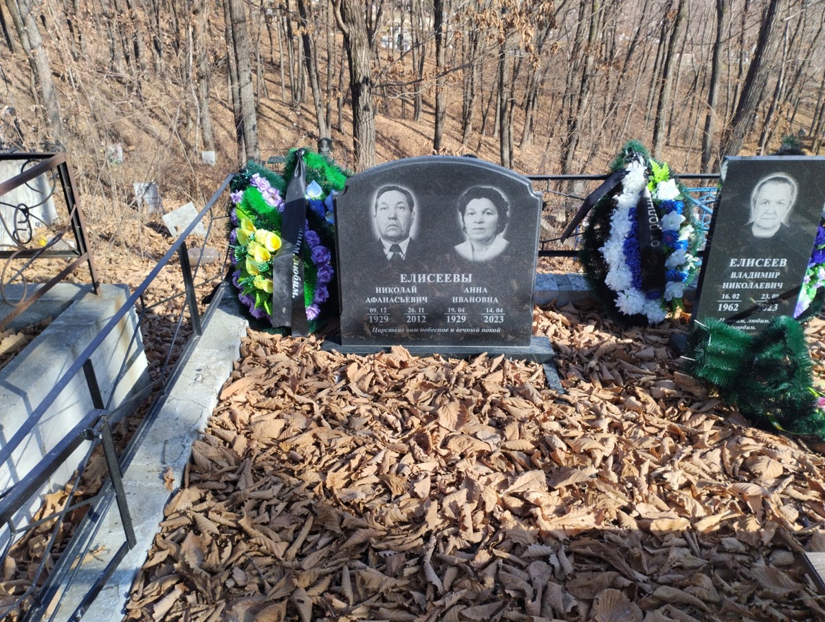 Елисеев Николай Афанасьевич