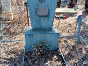 Родионов Дмитрий Афанасьевич