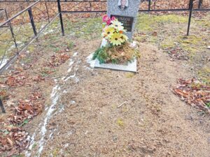 Кольцов Андрей Василеьвич