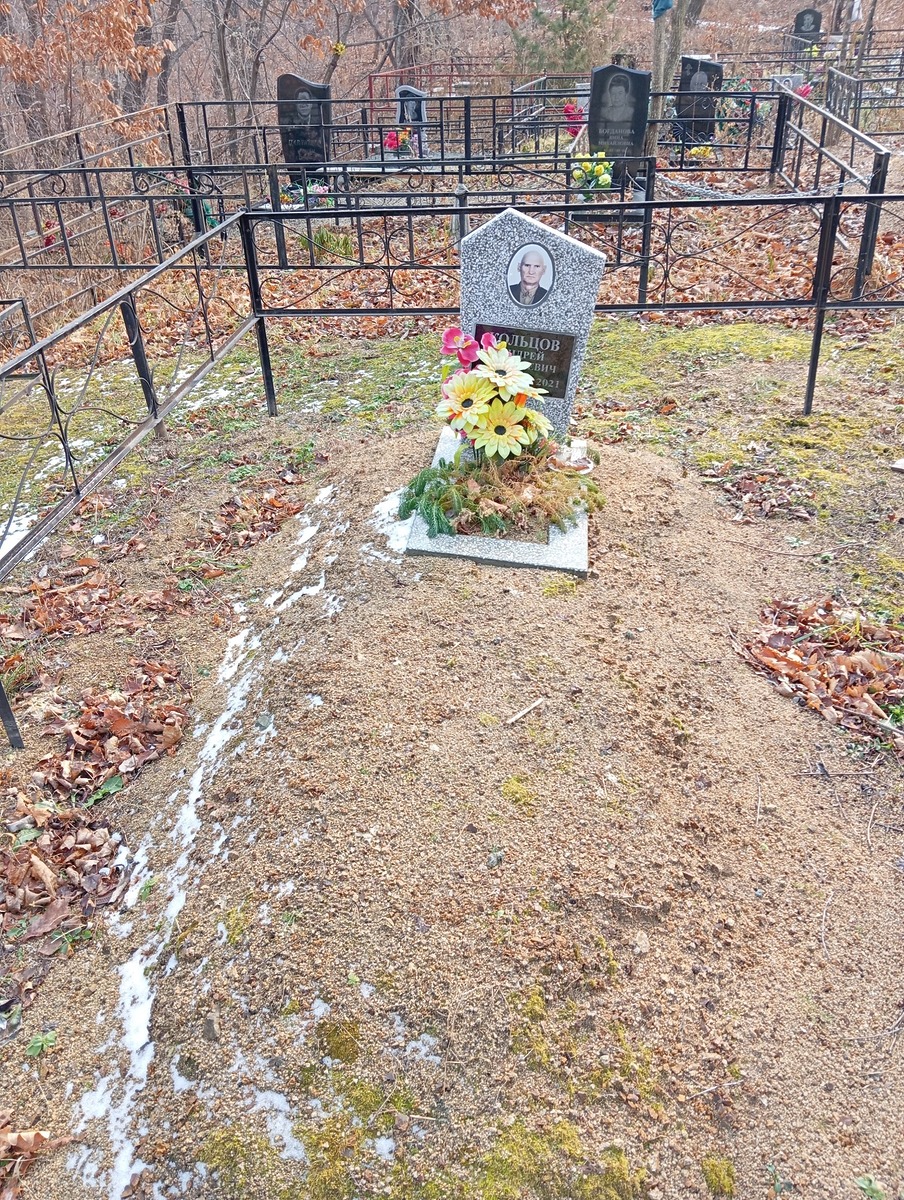 5e4a81c3-b81b-4027-8749-d7d9955cf3bb Кольцов Андрей Василеьвич