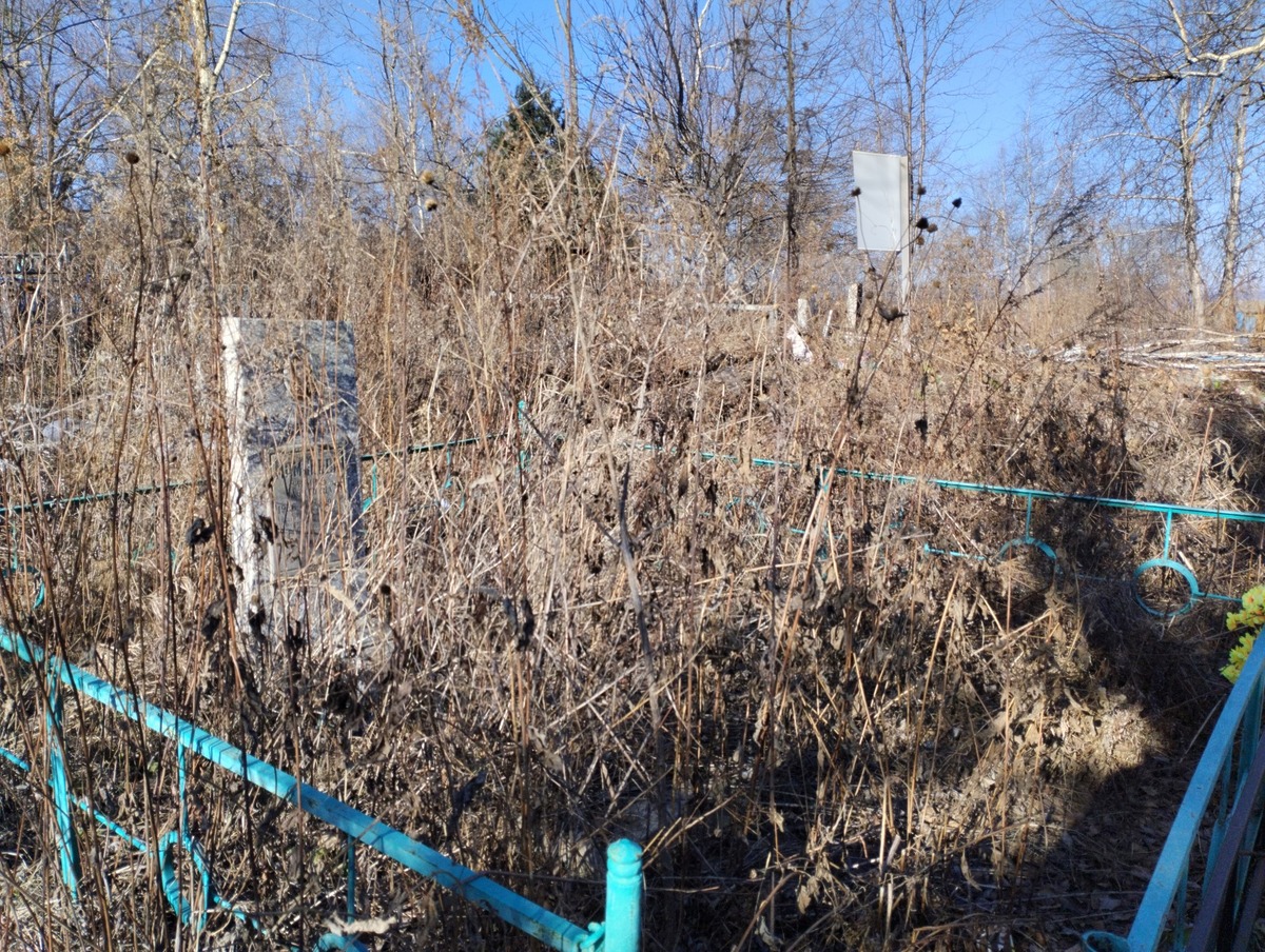 Мамлеева Ельмира Сазитовна