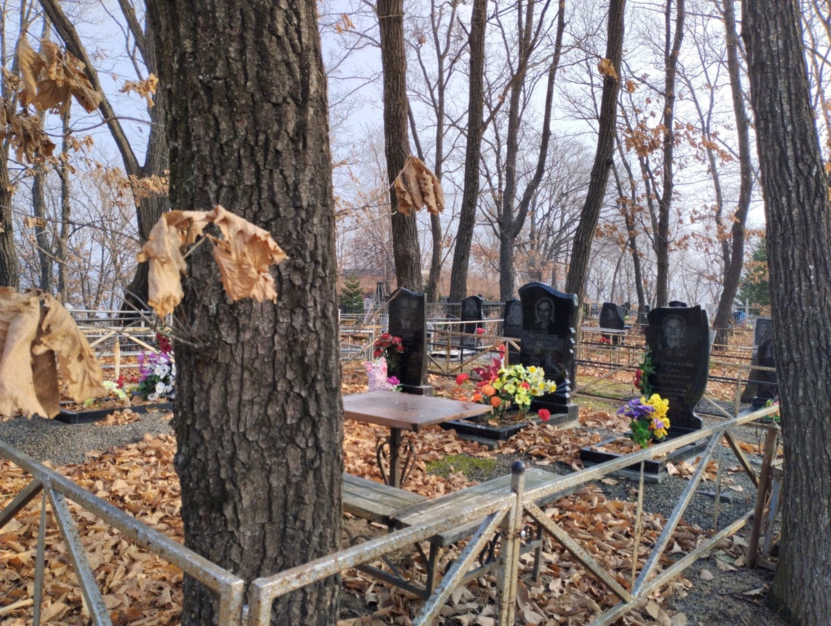 5eeb8812-c1d5-45b4-8012-2ffec0654ee4 Артюков Николай Иванович