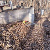 Голубев Владимир Борисович