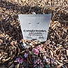 Сундукова Зинаида Петровна