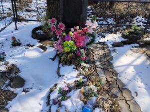 Сакара Андрей Николаевич