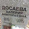 Досаева Валерия Анатольевна
