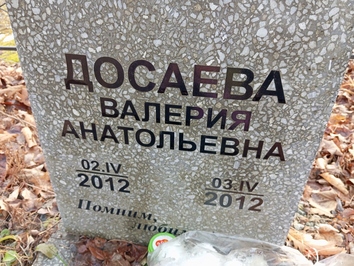 Досаева Валерия Анатольевна