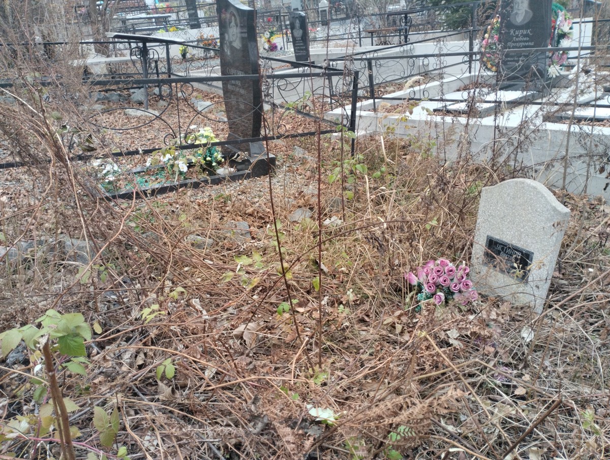 6254649d-1b59-4942-938b-1d73bd3d6a57 Устинов Виктор Петрович