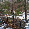 Сапелкина Александра Андреевна
