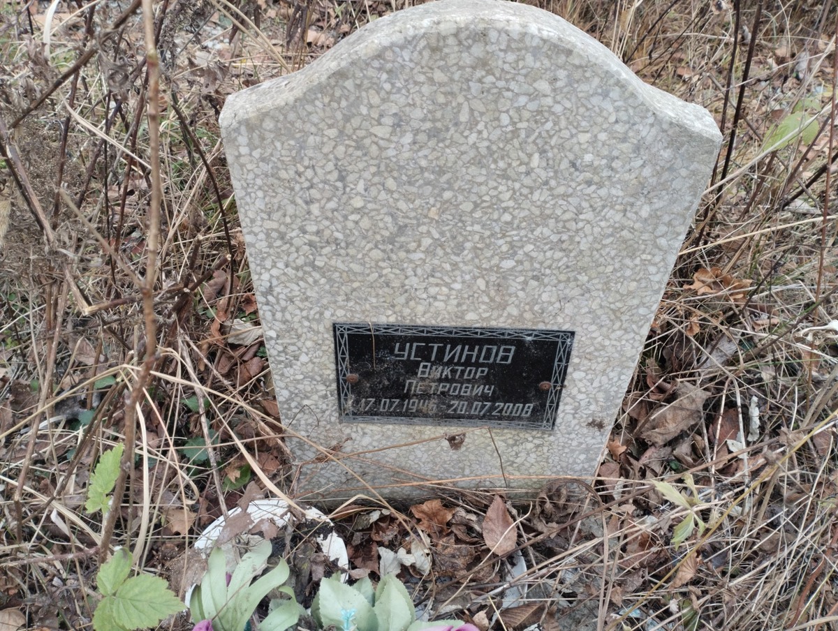 64cceb10-2b15-45e3-8368-b7b5d6b30066 Устинов Виктор Петрович