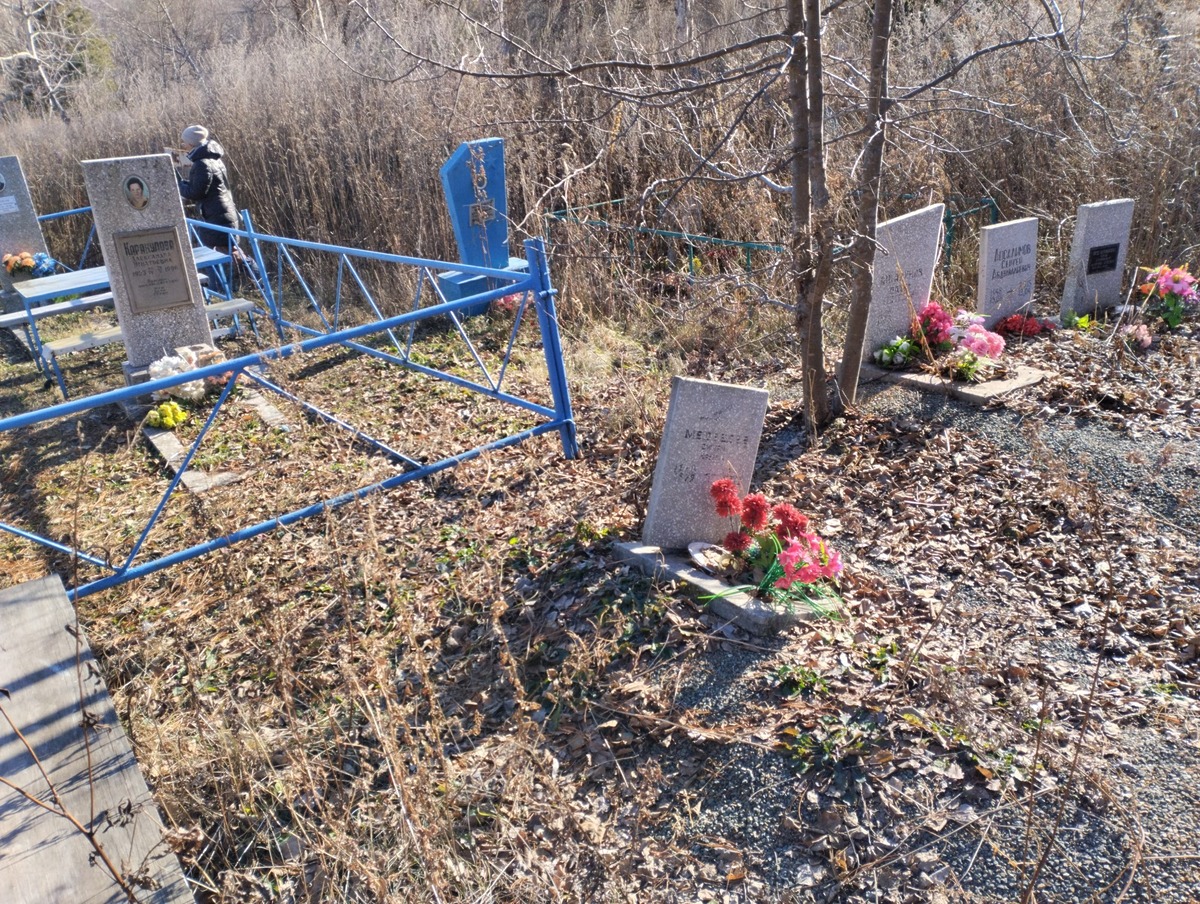 6591fc3e-96d6-4152-a7c4-f7c116b471f7 Медведев Дмитрий Юрьевич