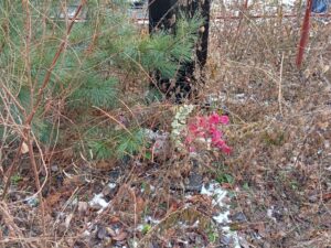 Морозов Петр Васильевич