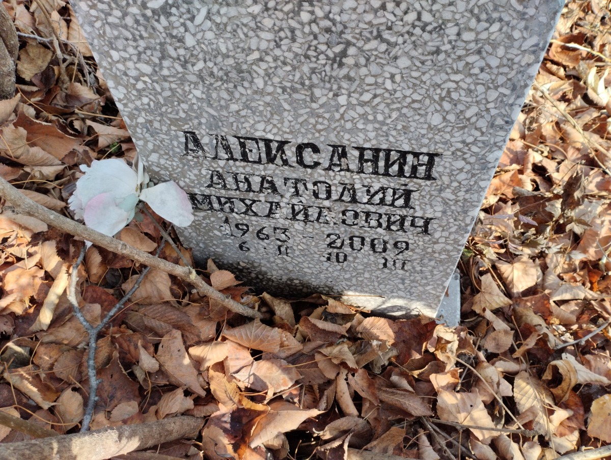 672e06af-cd61-4a96-bdcb-bf09a0f52a2a Алексанин Анатолий Михайлович