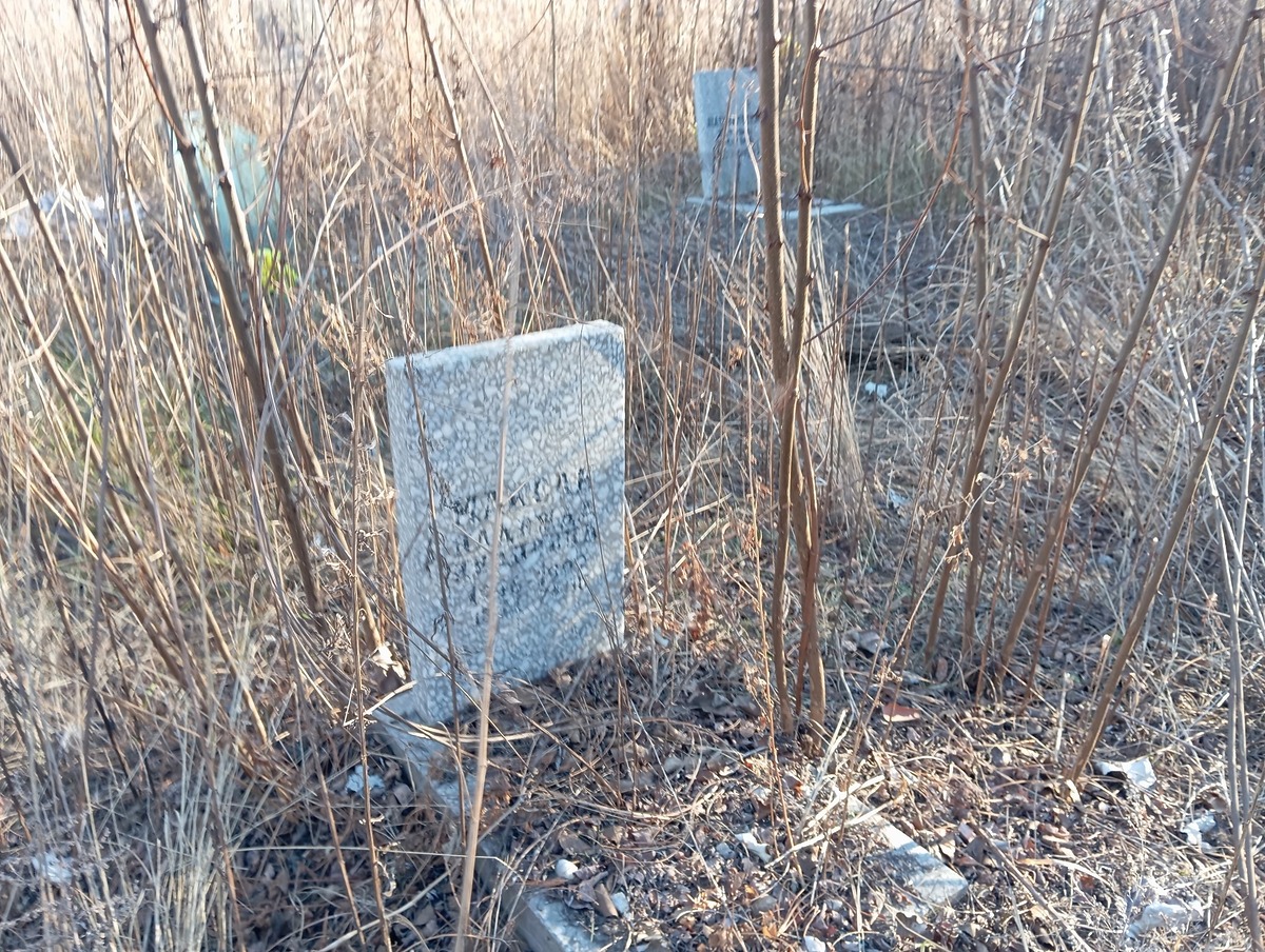 676c9c50-3f9b-47ce-8780-5f5ed63bdc74 Максак Надежда Ивановна